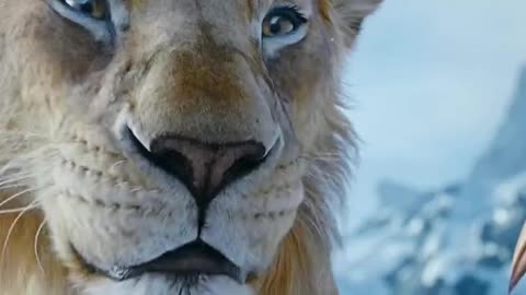 Mufasa 😍❤️ (Part - 58)....#reels #viralreels #reel #mufasa #animation #lastest #romantic #viralreel