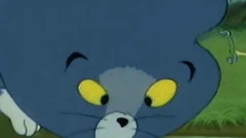 Tom and Jerry