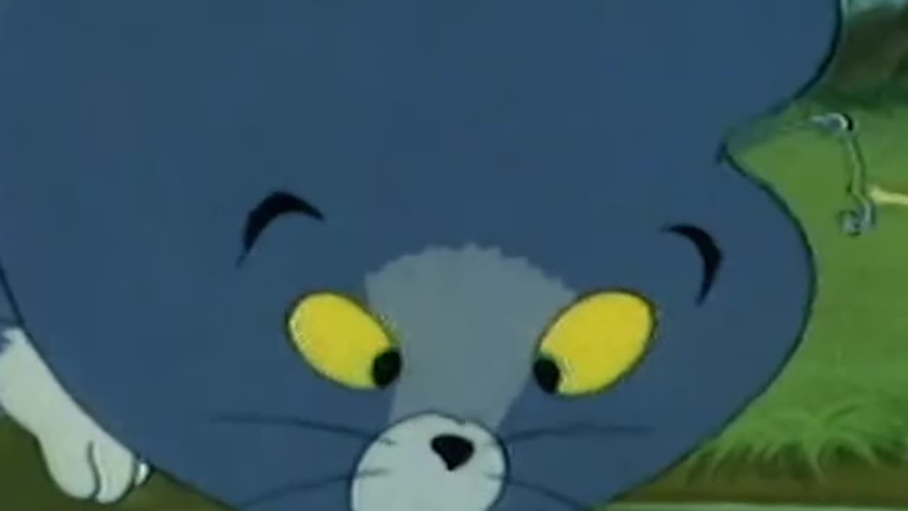 Tom and Jerry