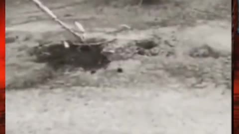 😱👻 Paranormal Activity Unfolds! You Won't Believe This Scary TikTok | TheHauntingHour