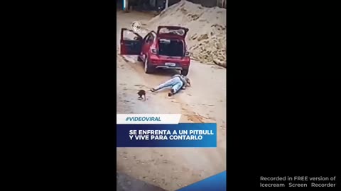 lets fuck around with a pit bull
