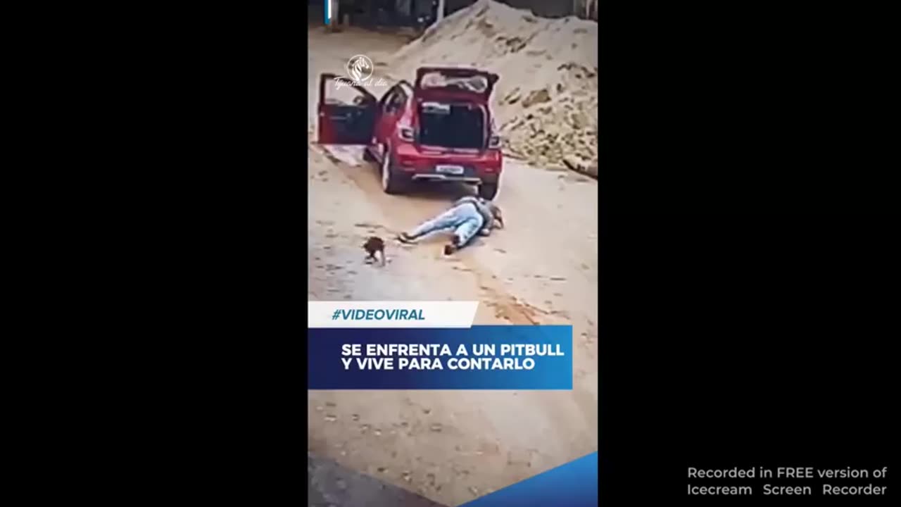 lets fuck around with a pit bull