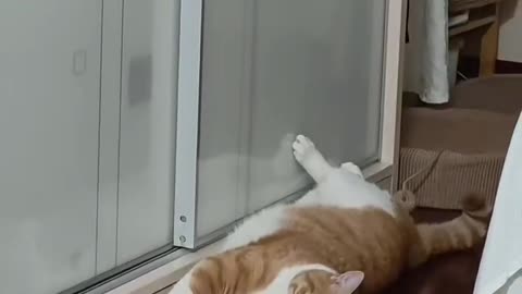 Lazy me day mode, everyday is a lazy day