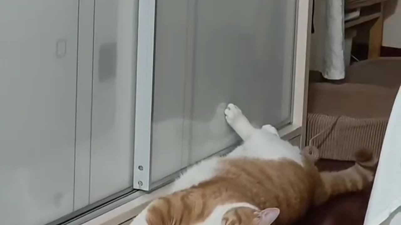Lazy me day mode, everyday is a lazy day