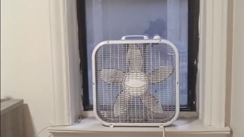 I won't be getting my SNAP benefits today because of this government shutdown