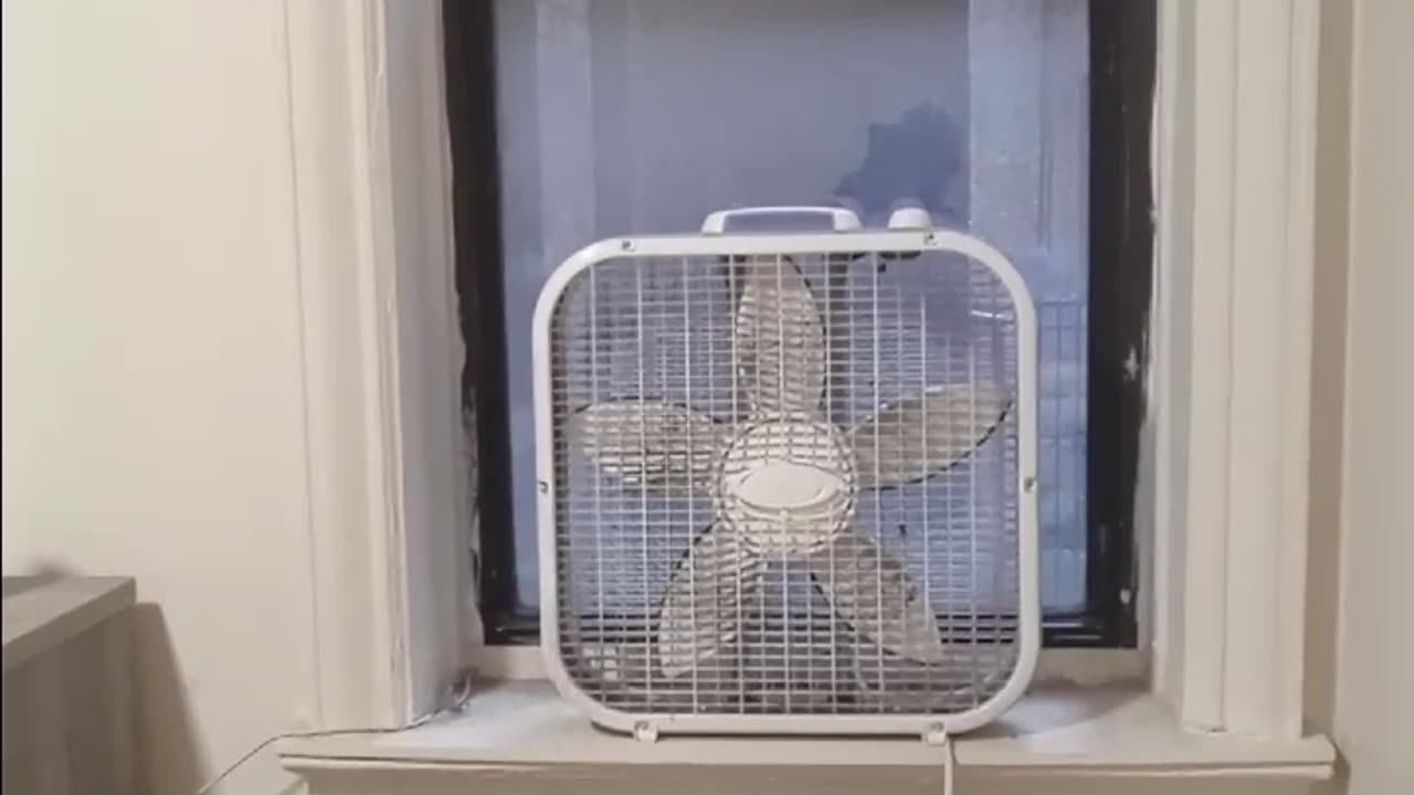 I won't be getting my SNAP benefits today because of this government shutdown