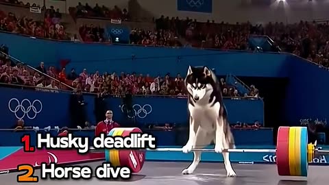Ranking Best Animal Olimpics