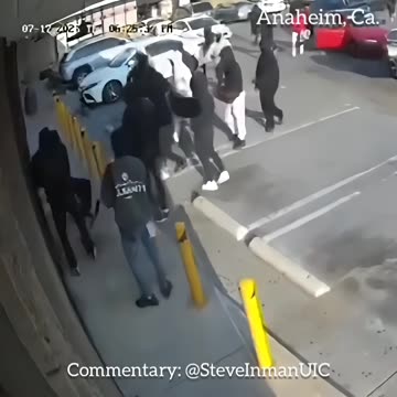 Scattered Like Roaches