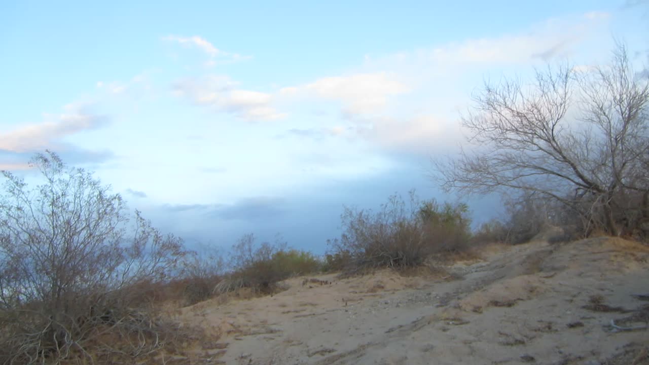 The thing I hate most about the desert