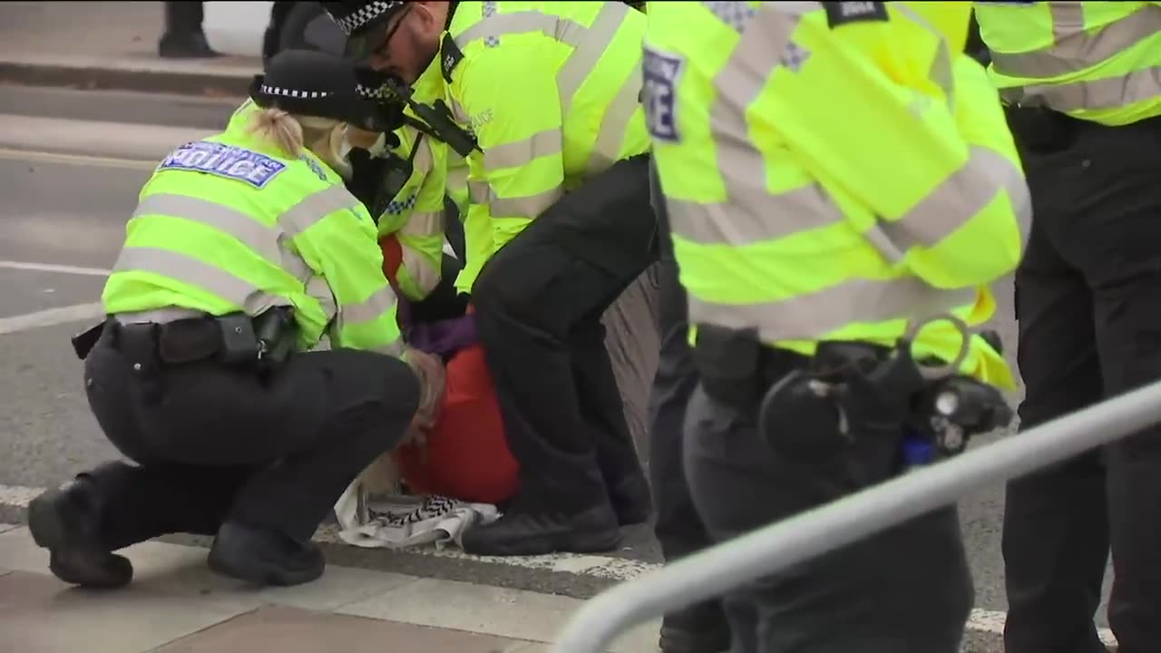 Clashes break out at Palestine Action protest, as police make 425 arrests