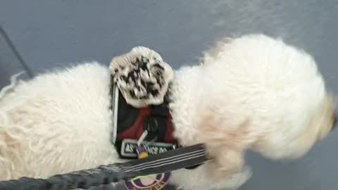 Boarding Train, tuck under seat