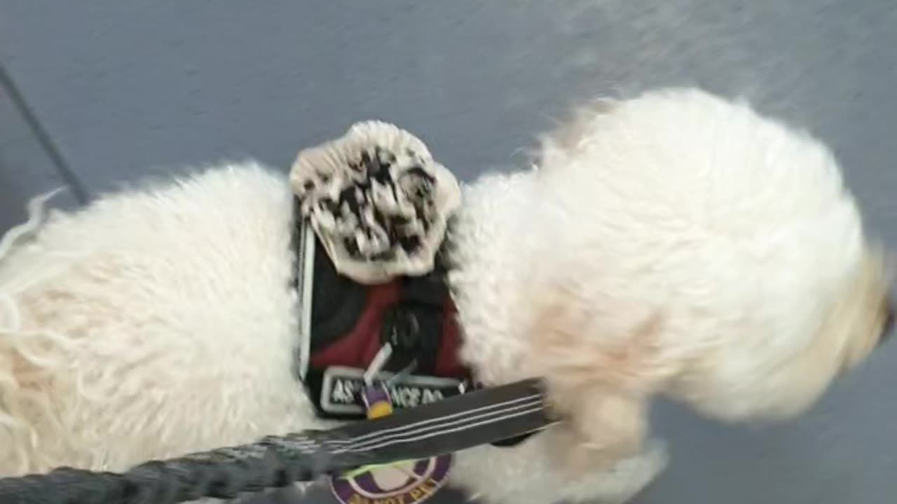 Boarding Train, tuck under seat