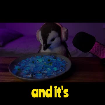 Penguin Runs a ASMR Channel #ai #shorts #viral #reels