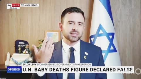 UN Humanitarian Chief Accused of Spreading 'Fake News' About Gaza Babies