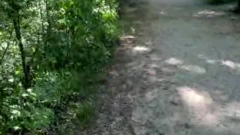 Live with Restream, May 16