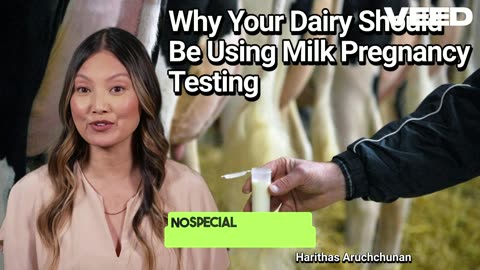 Revolutionize Dairy:Milk Pregnancy Testing Benefits