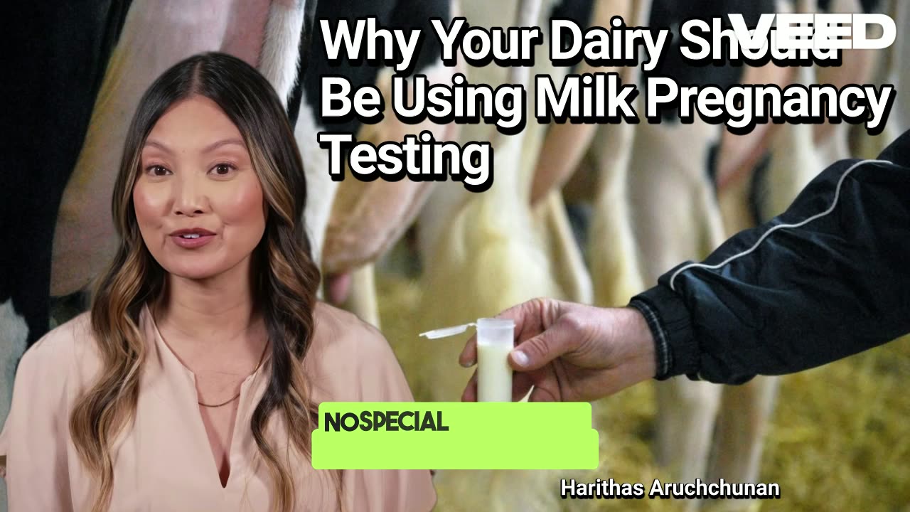 Revolutionize Dairy:Milk Pregnancy Testing Benefits