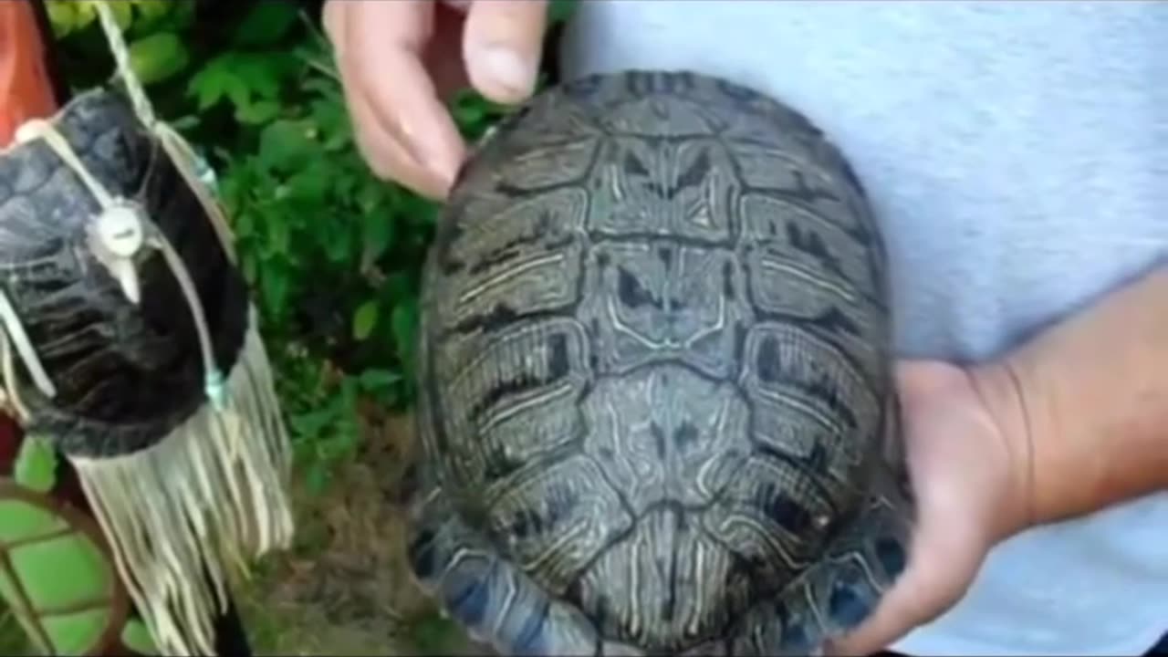 The key to the Universe. 💜💜💜💜💜💜