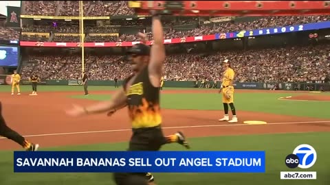 Viral sensation Savannah Bananas take over Angel Stadium this weekend