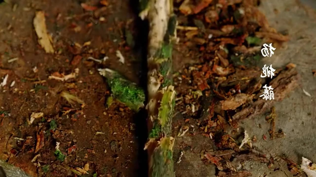 1000 years ago the chinese learned to make paper from bamboo. how was