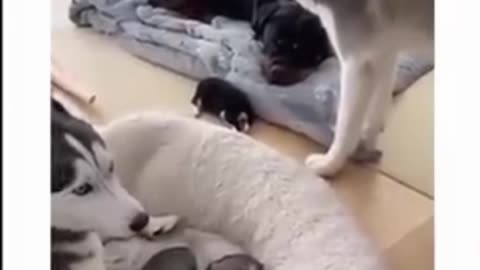 Shocking! Amazon Employee tells coworker to CREAM PIE HER-Boyfriend will buy Plan B 🚨 #socialissues