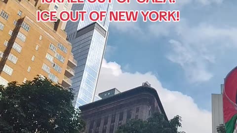 TODAY in New York City: "ALL OUT FOR GAZA"
