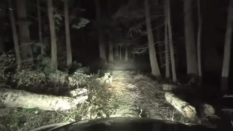 Nunca vá ao interior do Brasil à noite (se quiser viver)