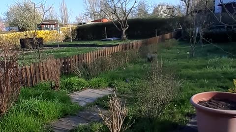 Natur pur im Gartenverein 04/25 (Dölitz-Dösen)