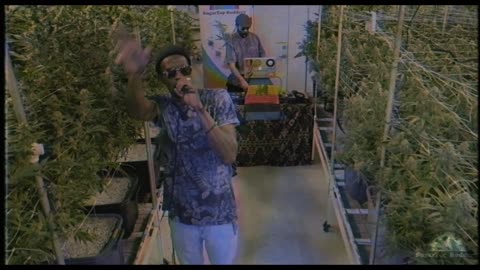 Serenaded Buds : Ready Mi Gone - Blakkamoore & The Bambu King