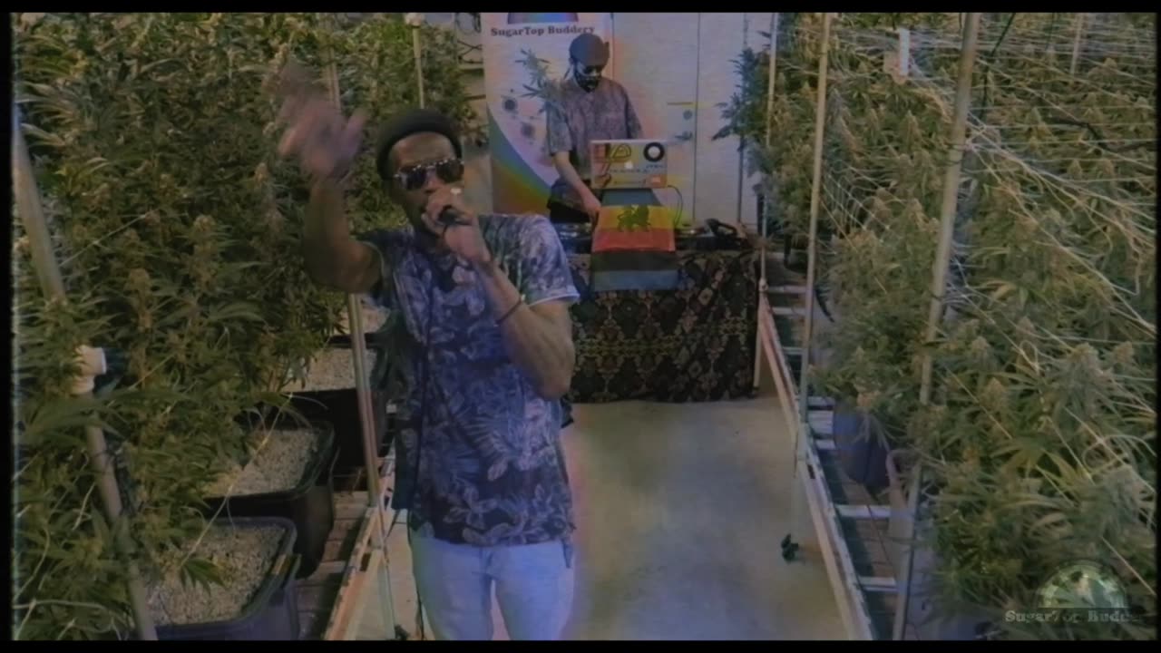 Serenaded Buds : Ready Mi Gone - Blakkamoore & The Bambu King