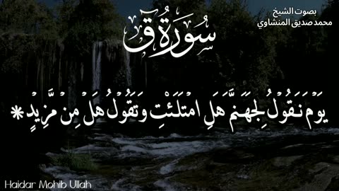 Qur'an Recitation by Sheikh Siddiq Al-Minshawi
