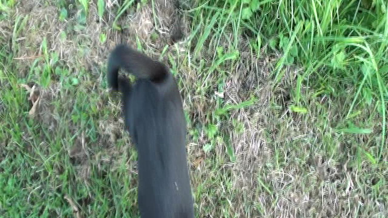 174