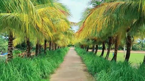 God Mother Gaia already ascended, she is still waiting for you to catch up with her and move to 5D.