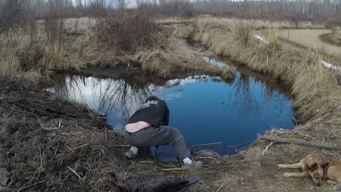 April 22, 2025 - Catching beaver