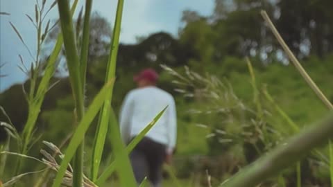 Escaping the Noise: Finding Peace Beyond the City