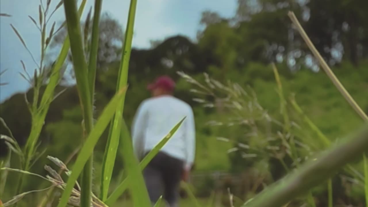 Escaping the Noise: Finding Peace Beyond the City
