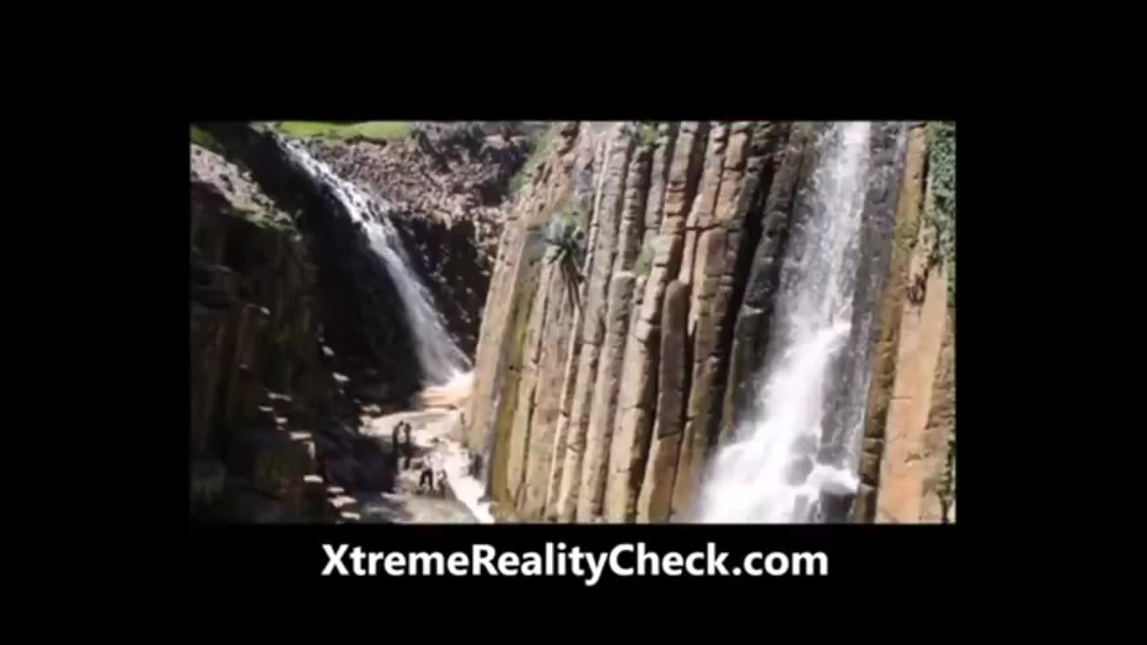 Hidden In Plain Sight: Gigantic Ancient Trees