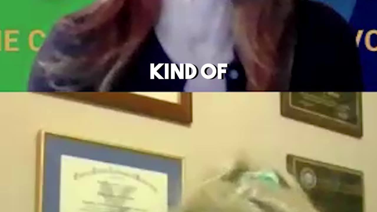 What's Up With Aspartame?