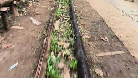Indonesian Village Roller Coaster POV