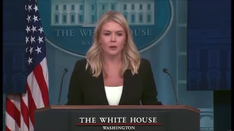 Press Secretary Grilled On Epstein Files