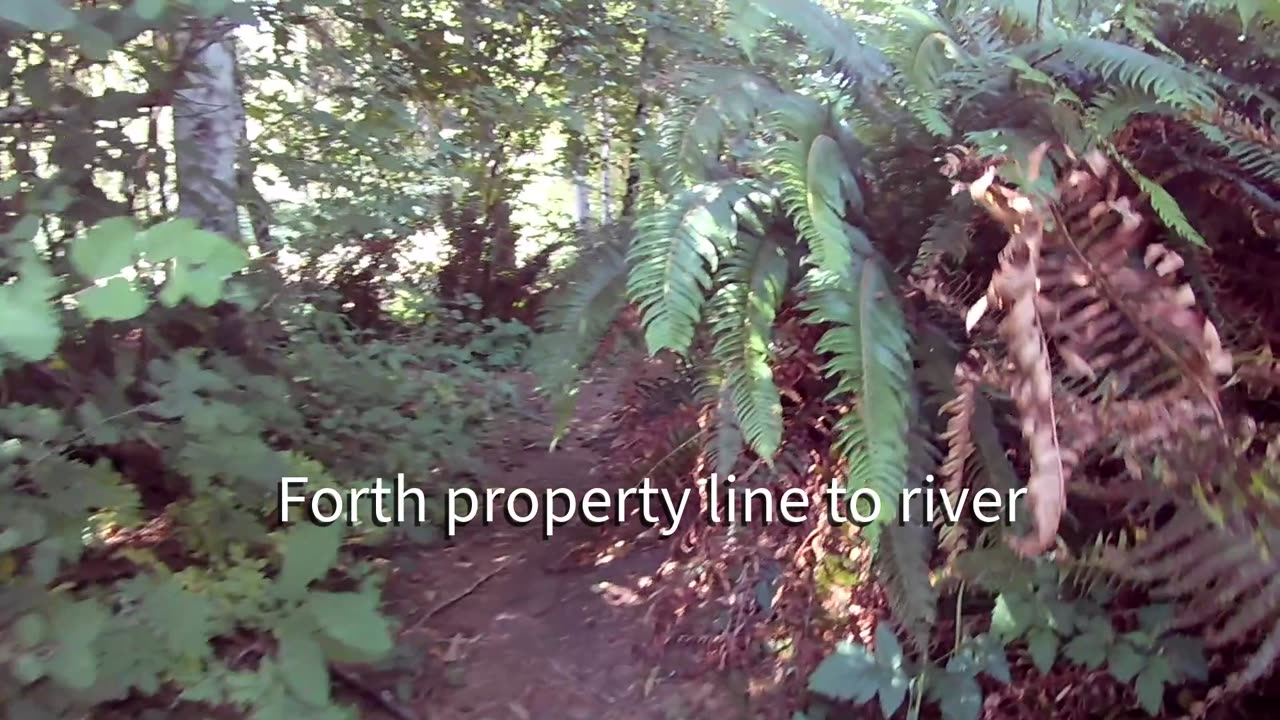 Welcome to Aspen Grove - property walk-through