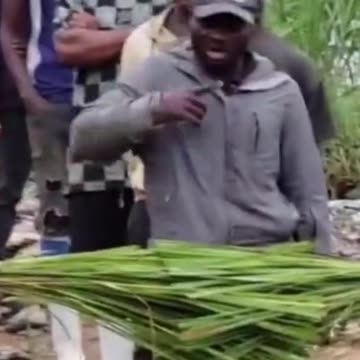 El Asombroso Detector De Mentiras Que Usan En África Desde Hace Siglos