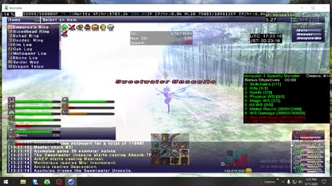 Playing Final Fantasy XI Online