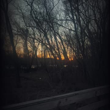 Every day you wake up is a gift.