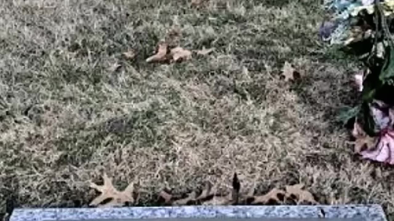 FAMOUS GRAVES - VOL. 99: SAM KINISON