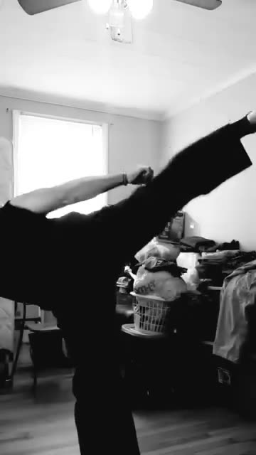 Tong Hap Kwan Hoshinsul Kicking Techniques