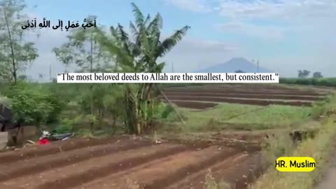 Partly about the Islamic religion 32