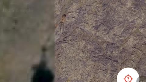 Google Maps: App vs Desktop