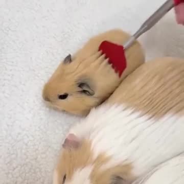 Hur låter du när du får en ryggmassage?