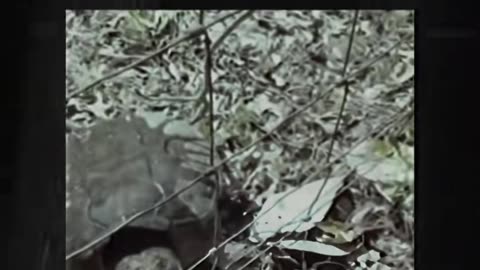 😨👻 The Terrifying Truth Behind This Paranormal Video | TheHauntingHour